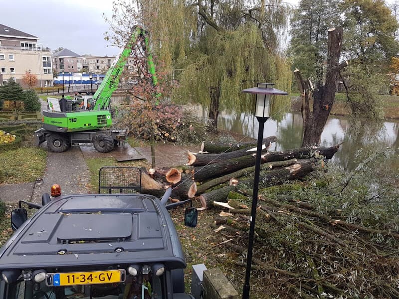 Boomverwijdering met klimtechniek en specialistische apparatuur