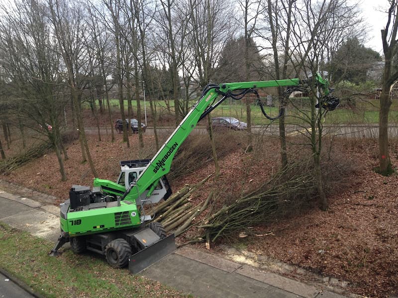 Professionele boomverzorging met moderne velkraan in Limburg